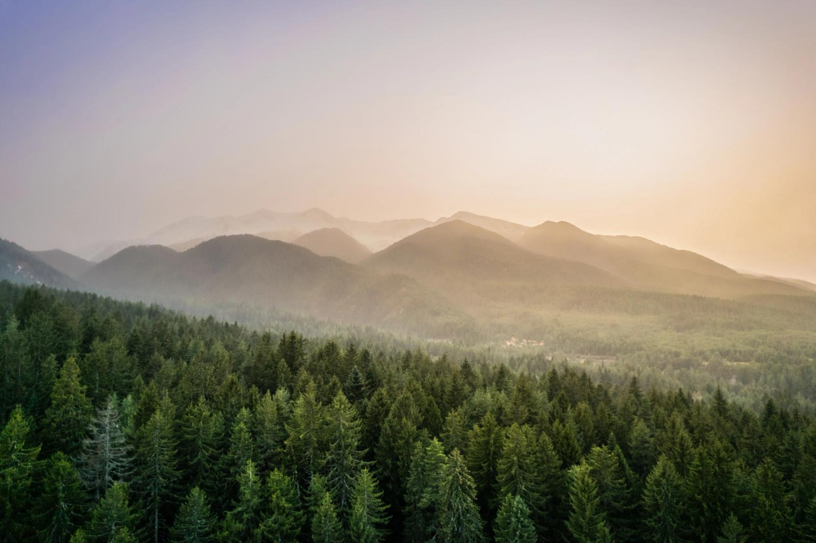 An aerial view across dense conifer forest towards the Pirin Mountains near Bansko, Bulgaria, at dusk in early spring. Smoke haze or wildfire residue diffuses the low sun into warm amber tones, compressing the receding ridgelines into successive silhouettes. The valley mist between forest and mountain creates a quiet sense of depth, though no single dominant subject anchors the composition.
