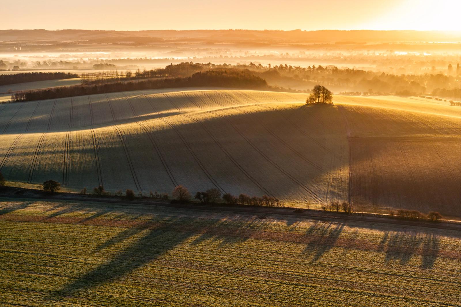 Bare trees crown Brightwell Barrow, a chalk hill near the Wittenham Clumps in Oxfordshire, as low winter sun rakes across frost-covered ploughed fields and ground mist pools in the Vale of White Horse beyond. The aerial vantage compresses receding layers of hedgerow, fog, and distant downland into a single coherent plane of light and shadow. Long tree shadows crossing the lower field anchor the foreground and give the composition its quiet geometric tension.