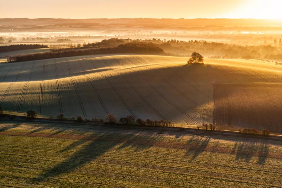 Bare trees crown Brightwell Barrow, a chalk hill near the Wittenham Clumps in Oxfordshire, as low winter sun rakes across frost-covered ploughed fields and ground mist pools in the Vale of White Horse beyond. The aerial vantage compresses receding layers of hedgerow, fog, and distant downland into a single coherent plane of light and shadow. Long tree shadows crossing the lower field anchor the foreground and give the composition its quiet geometric tension.