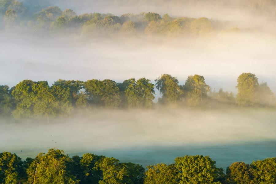 A temperature inversion settles over the Thames Valley near Henley, stratifying the morning mist into distinct bands between successive rows of oak and mixed woodland. Low sun from the east catches the upper canopy, separating warm gold from the cool blue-grey air pooled in the valley floor. The compression of the drone viewpoint collapses depth into near-abstract horizontal registers.