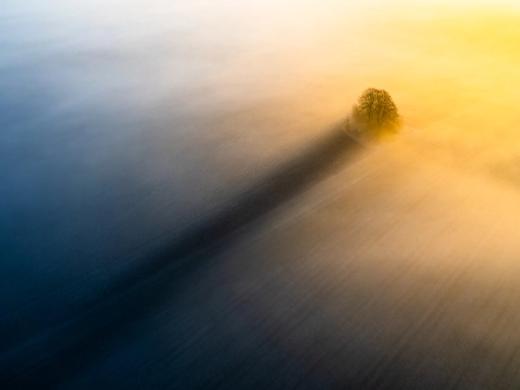 Awarded Photography