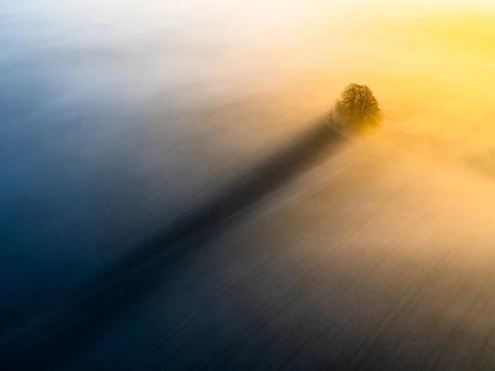 Awarded Photography