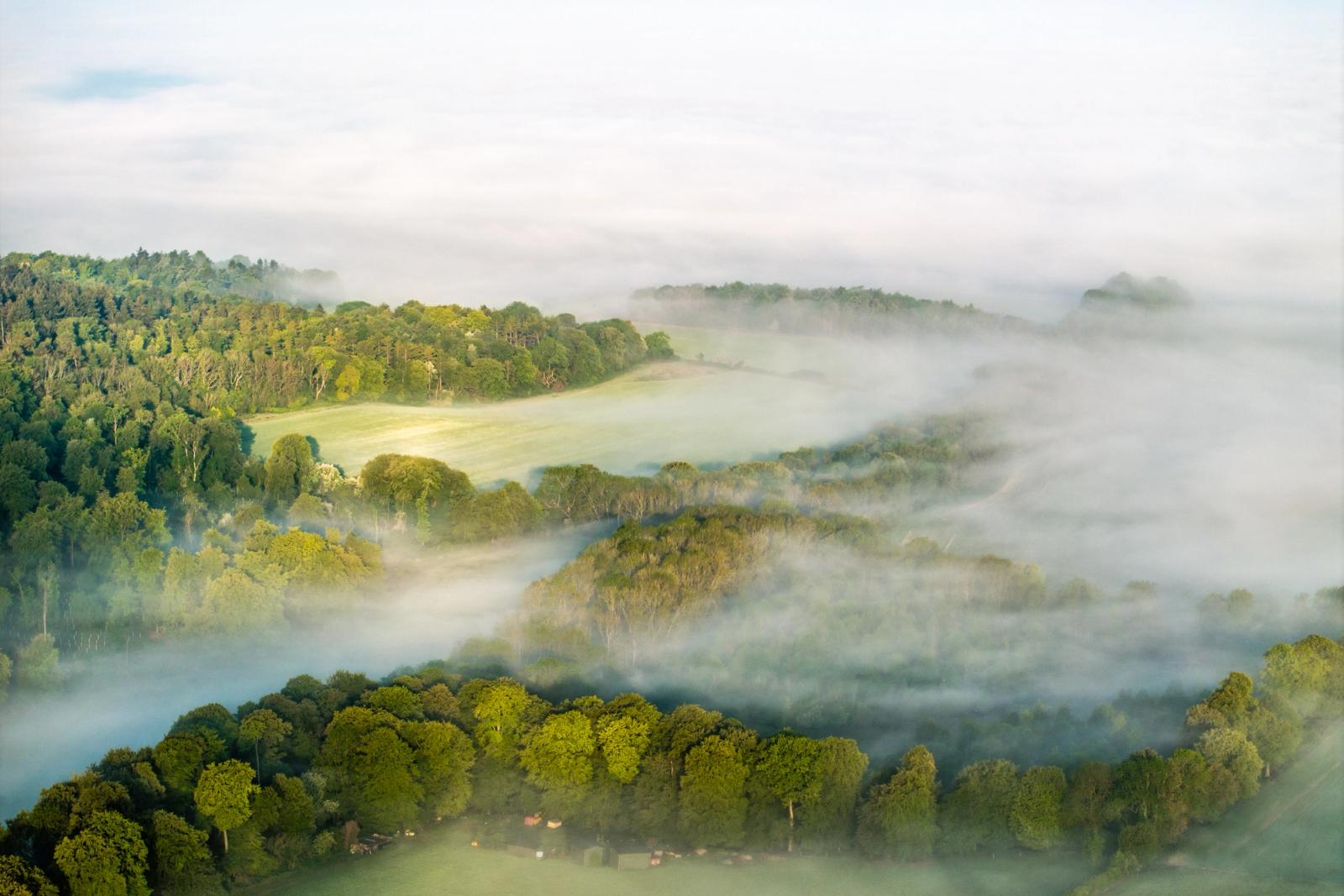 Low-level mist pools between ridges of mixed deciduous woodland in the Chiltern Hills near Henley-on-Thames, captured from altitude in early morning light. A temperature inversion holds the fog in the valley floors while tree canopies emerge as islands above the white. A small cluster of farm buildings in the lower frame provides quiet scale.