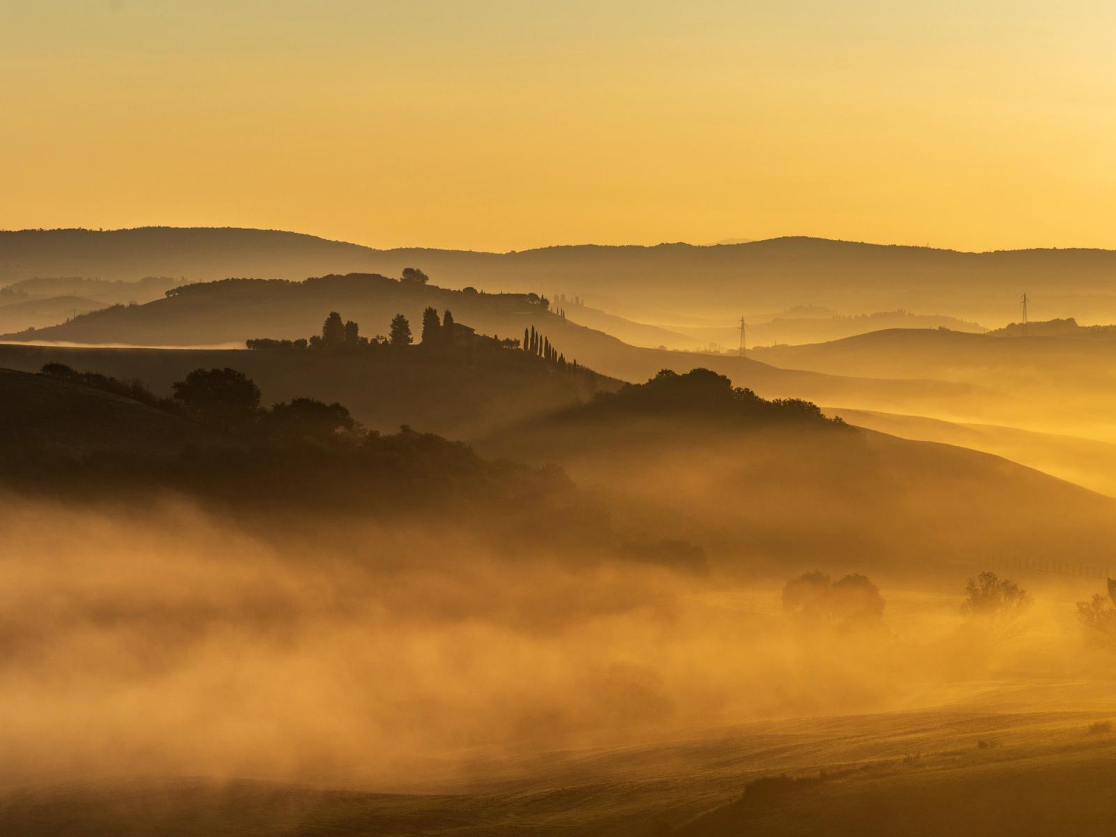 Ground fog pools in the valleys between successive hill ridges as dawn breaks, each layer of mist separating the silhouetted landforms into distinct tonal planes. Cypress-like trees on a central knoll provide the only vertical counterpoint to the horizontal banding of fog and hillside. The warm ochre cast of the low sun reduces the scene to near-monochrome warmth, suppressing detail in favour of recession and depth.