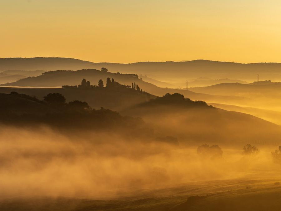 Ground fog pools in the valleys between successive hill ridges as dawn breaks, each layer of mist separating the silhouetted landforms into distinct tonal planes. Cypress-like trees on a central knoll provide the only vertical counterpoint to the horizontal banding of fog and hillside. The warm ochre cast of the low sun reduces the scene to near-monochrome warmth, suppressing detail in favour of recession and depth.