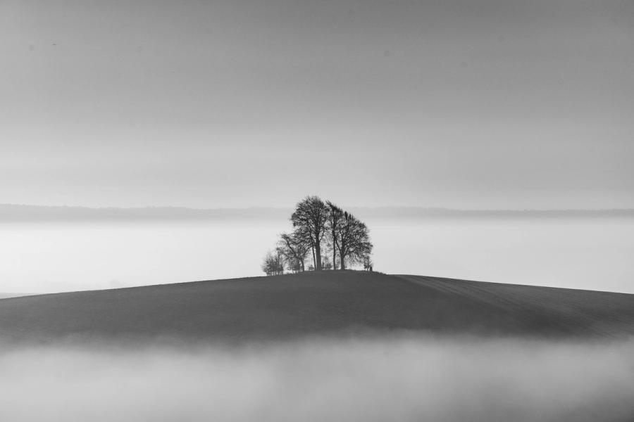 Brightwell Barrow, the low drumlin near the Wittenham Clumps in Oxfordshire, rises above two bands of valley fog in late winter, its tight cluster of bare deciduous trees sitting mid-frame in near-perfect bilateral symmetry. The surrounding lowland is entirely consumed by the inversion, reducing the scene to tone alone and lending it an austere, almost painted stillness.