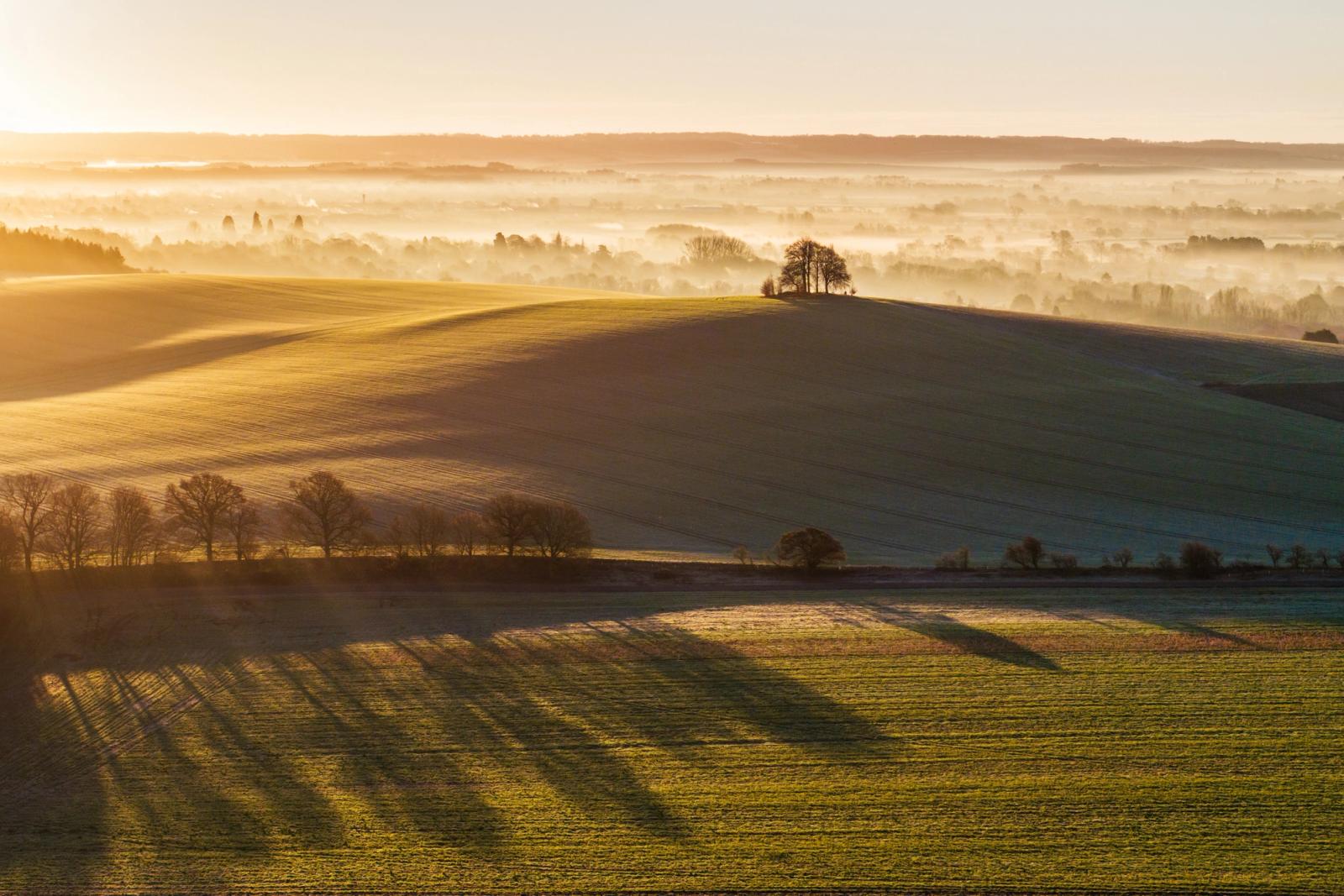 Low winter sun rakes across ploughed downland at Brightwell Barrow, near the Wittenham Clumps in Oxfordshire, casting long tree shadows across frost-touched fields while a temperature inversion holds mist in the vale below. The copse crowning the barrow acts as a focal anchor against the layered vapour and the familiar wooded ridge beyond. The compression of light, shadow, and mist across multiple planes gives the scene unusual depth for a hand-held moment.
