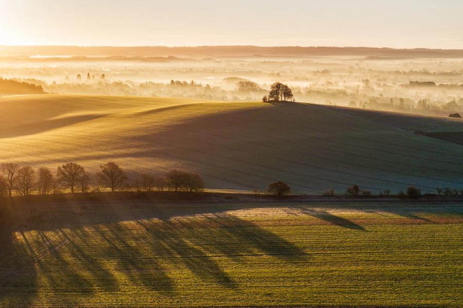 Low winter sun rakes across ploughed downland at Brightwell Barrow, near the Wittenham Clumps in Oxfordshire, casting long tree shadows across frost-touched fields while a temperature inversion holds mist in the vale below. The copse crowning the barrow acts as a focal anchor against the layered vapour and the familiar wooded ridge beyond. The compression of light, shadow, and mist across multiple planes gives the scene unusual depth for a hand-held moment.