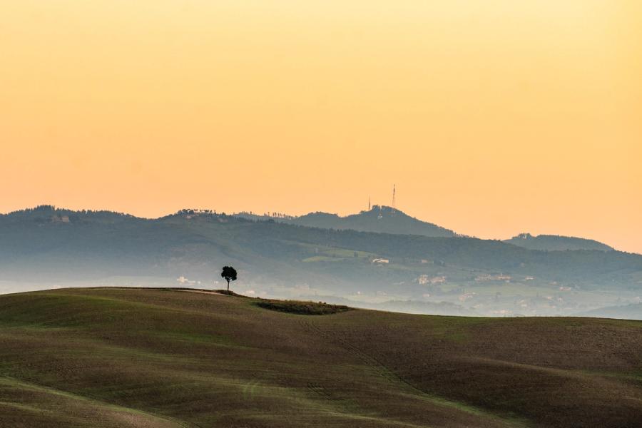 A solitary tree stands on a bare hillcrest, silhouetted against receding layers of misty hills under a warm peach dawn sky. Atmospheric haze dissolves the middle distance into pale blue bands, separating foreground agricultural slopes from wooded ridgelines beyond. The composition is anchored by the tree's precise placement against the tonal gradient where land meets sky.