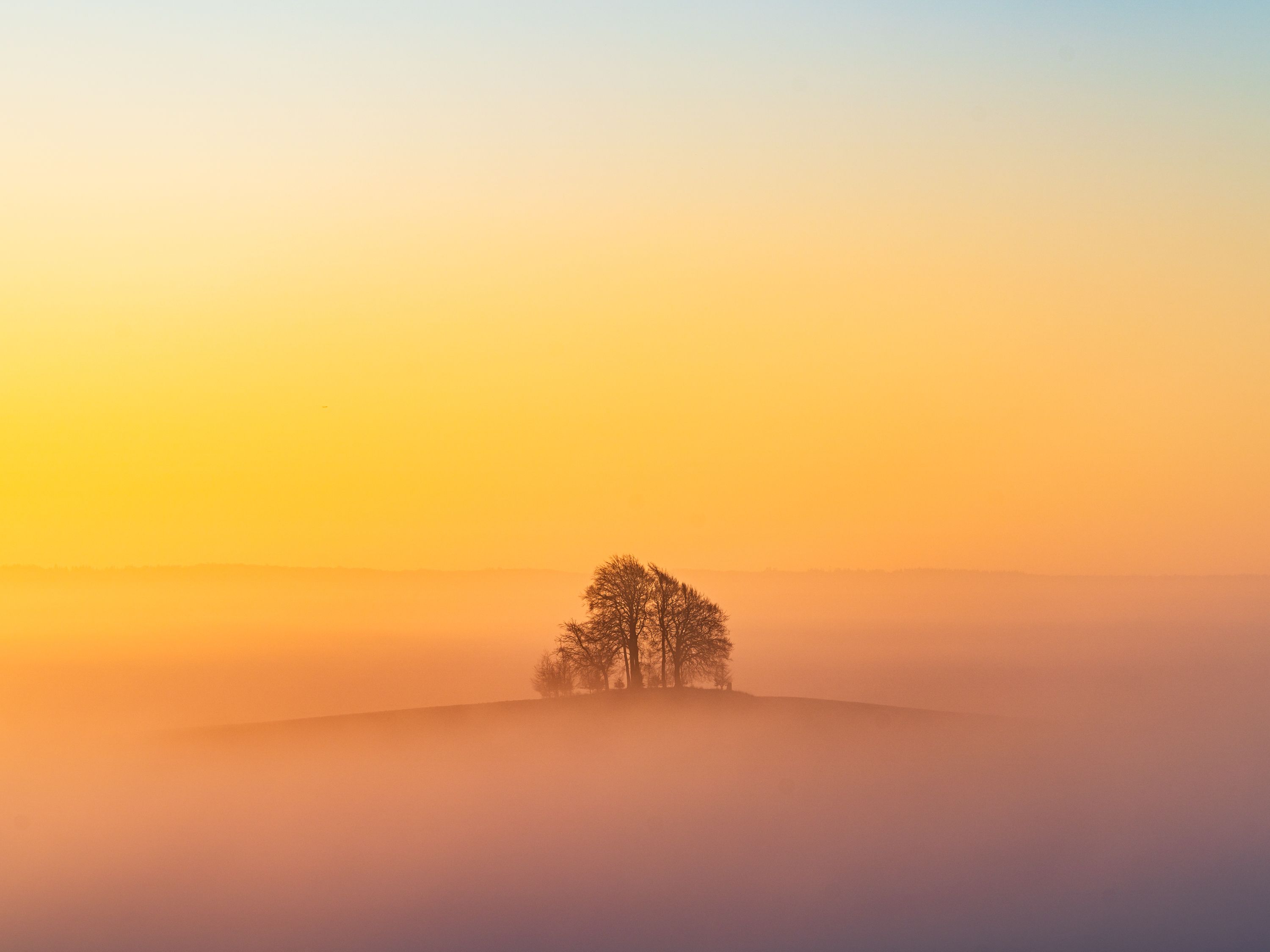 An absolutely magical scene from Brightwell Barrow in Oxfordshire, where a small group of trees on a 'barrow' stands above the mist, where the sunrise is lighting the scenes in the most beautiful orange, yellow and pink pastel hues. 
