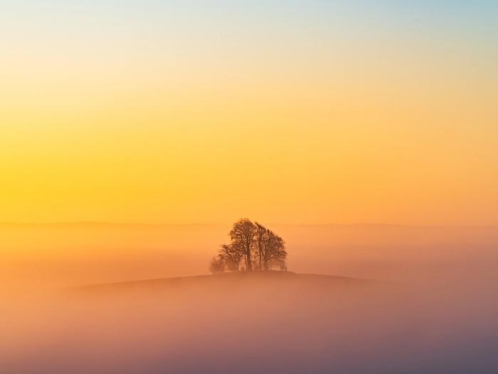 Brightwell Barrow & Wittenham Clumps