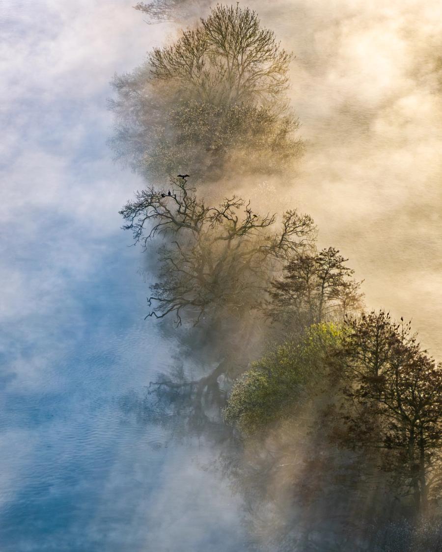 Ground mist rolls across the Thames floodplain near Wallingford on a March morning, partially obscuring bare and budding riverside trees whose canopies frame a mirror-calm channel reflecting cloud and open sky. Cormorants roost and lift from a prominent tree on the right bank, their silhouettes providing precise scale and biological context within an otherwise abstract composition. The interplay of warm mist-light against cool water reflection gives the image an uncommon spatial ambiguity.