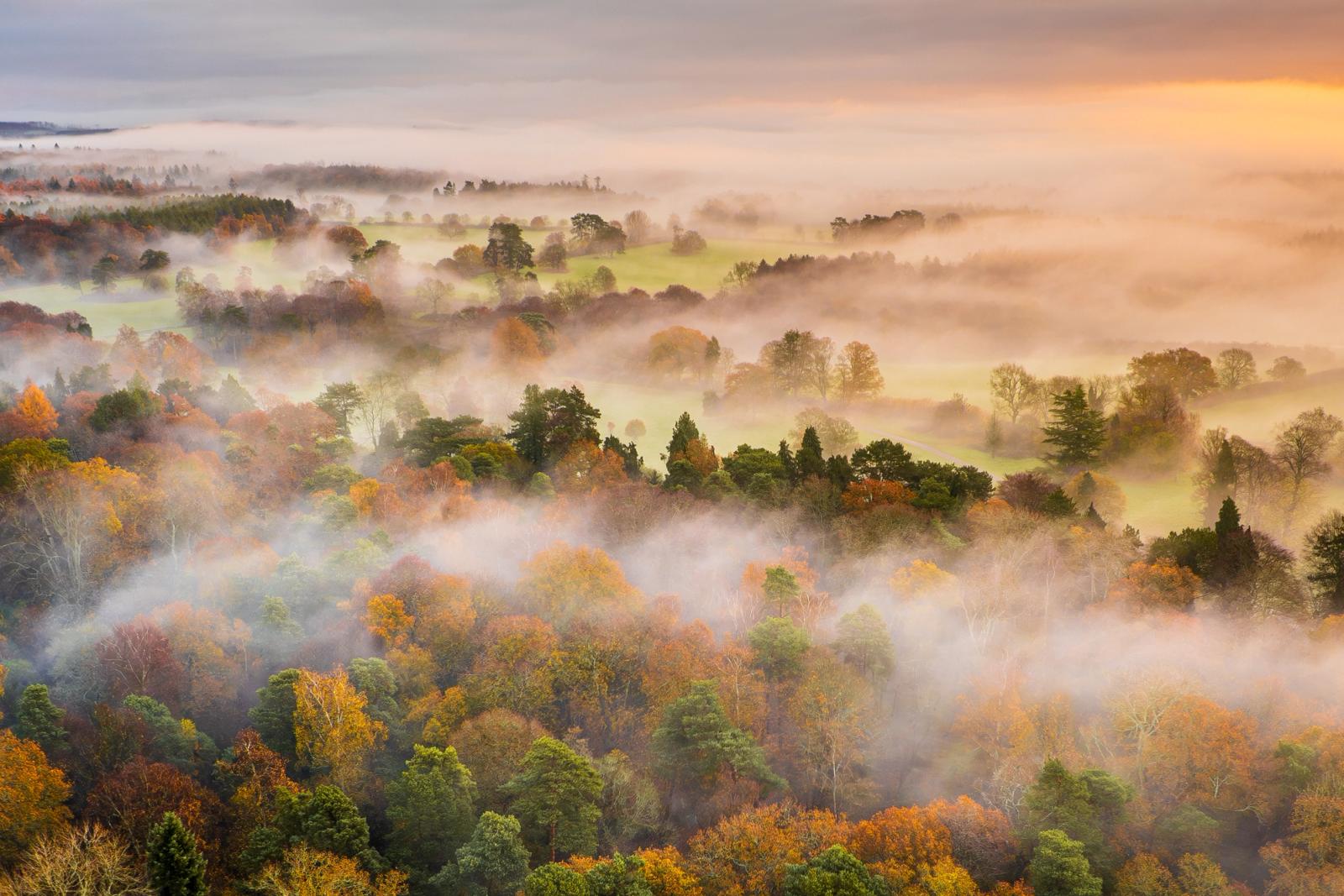 A temperature inversion holds low cloud among the autumn canopy of a Chiltern Hills woodland at dawn, the rising sun catching the mist from the south-east and warming the scene to amber. Photographed from altitude above Oxfordshire, the layered fog separates foreground trees from the open pasture beyond, creating a sequence of receding planes that dissolves into the glowing horizon. The restraint of the palette: amber, greens, and soft grey gives the image an unusual quietness for aerial work.