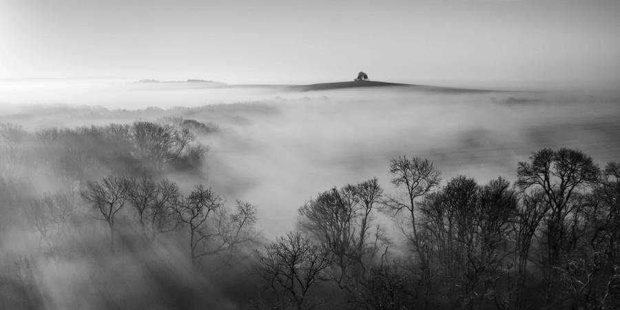 A temperature inversion buries a wooded valley beneath dense fog, leaving the lone clump of trees on the Brightwell Barrow hilltop isolated against a pale winter sky. Bare deciduous canopies pierce the fog layer in the foreground, receding in tonal gradients toward the distant hill. Shot from low drone altitude above the Thames Valley in Oxfordshire at first light, the panoramic frame distils the scene to three horizontal bands: tree, fog, hill. Black and white works so well here, dissolving the scene of stark blues and whites into beautiful monochrome.

Whilst the crop here is shown as 2:1 panoramic, this is available as a 3:2, filling more of the paper sizes I have available (A4, A3, A2). Let me know your preference when ordering.