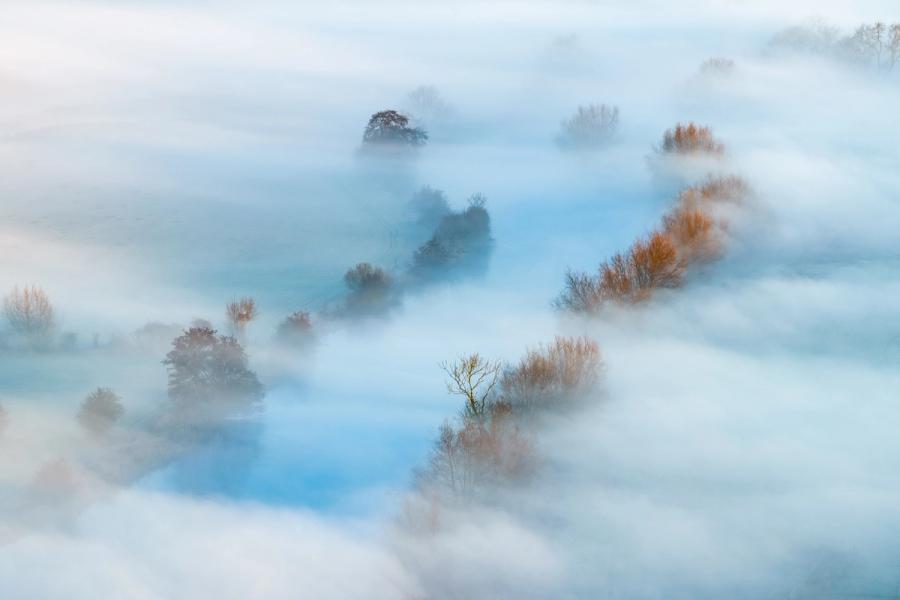 A temperature inversion smothers the Thames valley near Wallingford, leaving only the crowns of riparian trees and the ghost of the river channel visible from altitude. The cool blue of open water mirrors the sky between successive fog banks, while amber willow stems provide the only warm note in an otherwise tonal composition. Captured at dusk in mid-December, the image reads as pure abstraction without surrendering its sense of place.