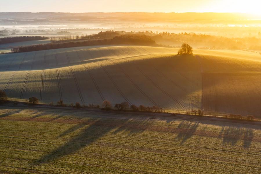 Low winter sun rakes across the frost-covered chalk downland at Brightwell Barrow, near the Wittenham Clumps in Oxfordshire, casting long tree shadows across field tramlines on the Vale of White Horse below. A clump of bare trees crowns the rounded barrow summit, silhouetted against mist pooling in the middle distance. The aerial angle compresses the rolling topography into near-abstract planes of warm light and cold shadow.