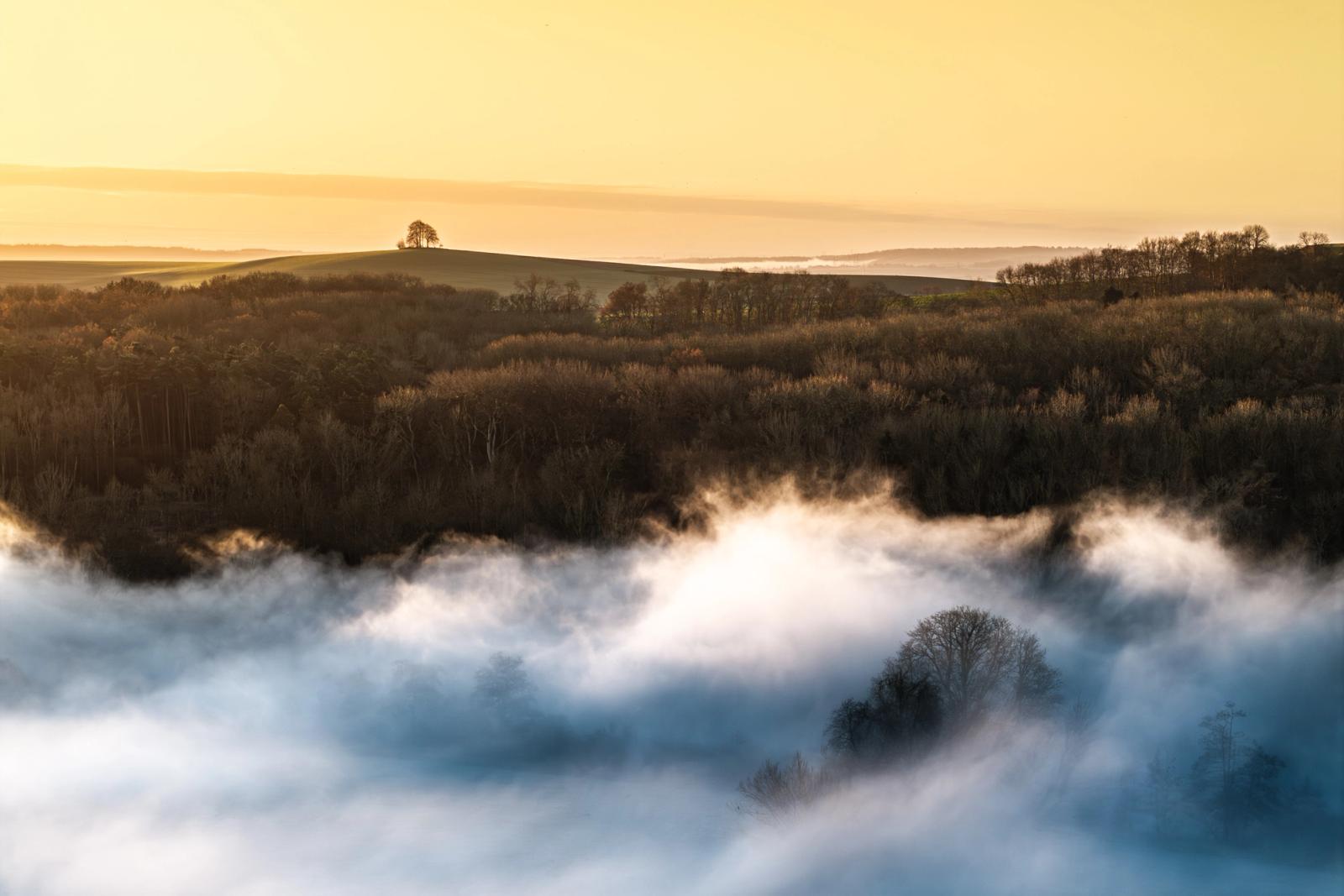 A temperature inversion fills the valley floor with dense fog while bare woodland emerges at the cloud margin, near Wallingford on the Oxfordshire Downs. A lone tree group crowns the distant hill in silhouette against a pale winter dawn sky. The foreground mist, lit from below, separates into distinct layers that give the scene unusual depth and spatial ambiguity.