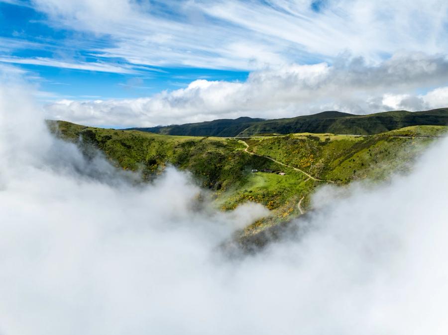 Low cloud pools in a green valley above Calheta, Madeira, partially obscuring a winding track and two small farm buildings. Shot from above the inversion layer, the mist frames rather than conceals the terrain, giving a sense of the valley's scale and isolation. Scattered yellow flowering shrubs punctuate the hillsides.