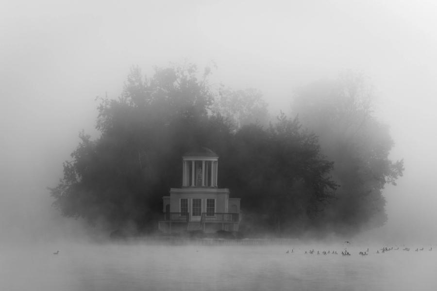 The neoclassical Temple Island, Henley-on-Thames, emerges from dense morning fog, its columned rotunda framed by a mass of trees that dissolve at the edges into white. A loose gathering of waterfowl rests on the still water below, anchoring the scene in quiet life. The monochrome rendering strips the image to tone and atmosphere alone.