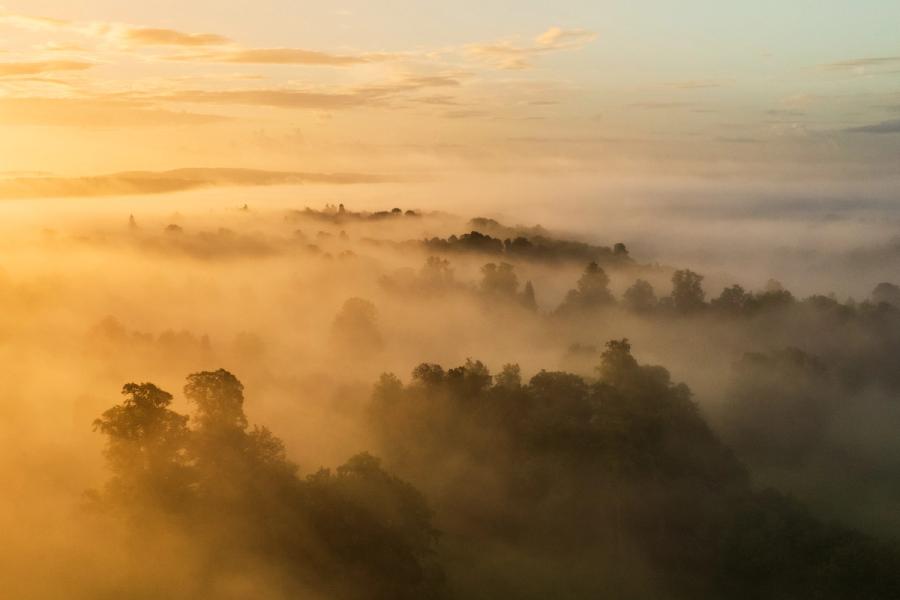 A thermal inversion settles across a wooded valley near Henley-on-Thames at first light, the canopy of deciduous trees breaking through successive layers of fog as warm dawn light rakes in from the south-east. The aerial perspective flattens the landscape into receding tonal planes, with cooler grey mist to the right contrasting the amber wash on the left. The tree crowns, still in full summer leaf, anchor each band of vapour and give the composition its quiet structure.