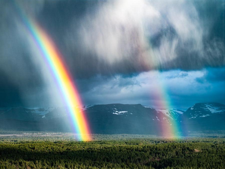 A double rainbow descends through an active rain curtain above the boreal forest of the Cairngorm plateau, with snow-patched massifs visible behind. The aerial vantage compresses the full arc against dark cumulonimbus, intensifying the spectral colour against the threat of the storm. The convergence of both bow legs near the treeline gives the frame an almost architectural geometry unusual for this phenomenon.