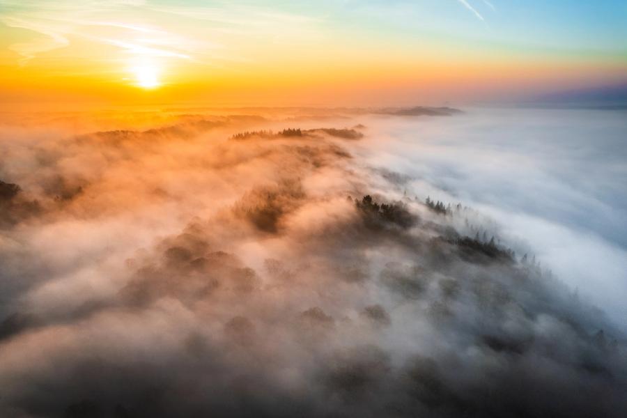 A temperature inversion buries the Thames Valley in The Chiltern Hills beneath a continuous fog layer at first light, leaving wooded ridgelines as isolated islands above the white. Warm sunrise light rakes across the mist from the west-northwest, splitting the frame between amber and a cool blue residue of night sky to the east. The compression of aerial perspective draws the fog into a near-abstract surface interrupted only by the dark crowns of emergent trees.