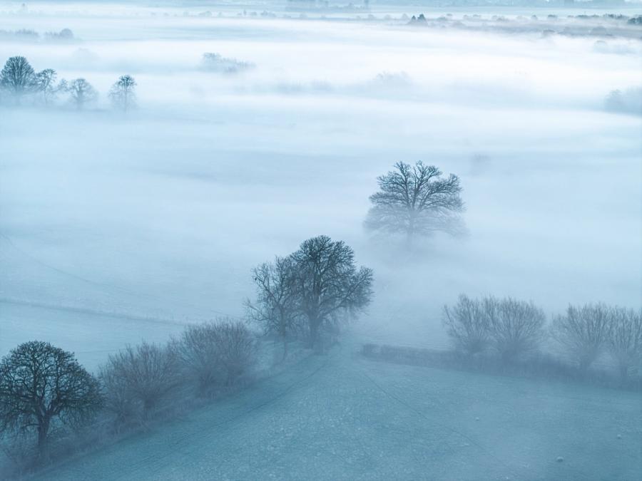 A temperature inversion settles across the Thames Valley near Wallingford, submerging the farmland in dense fog while bare oak trees emerge as dark silhouettes at varying depths. The elevated drone perspective compresses the receding layers of mist into near-abstract bands of cool blue-grey, with hedgerow trees in the foreground providing scale and anchoring the composition.
