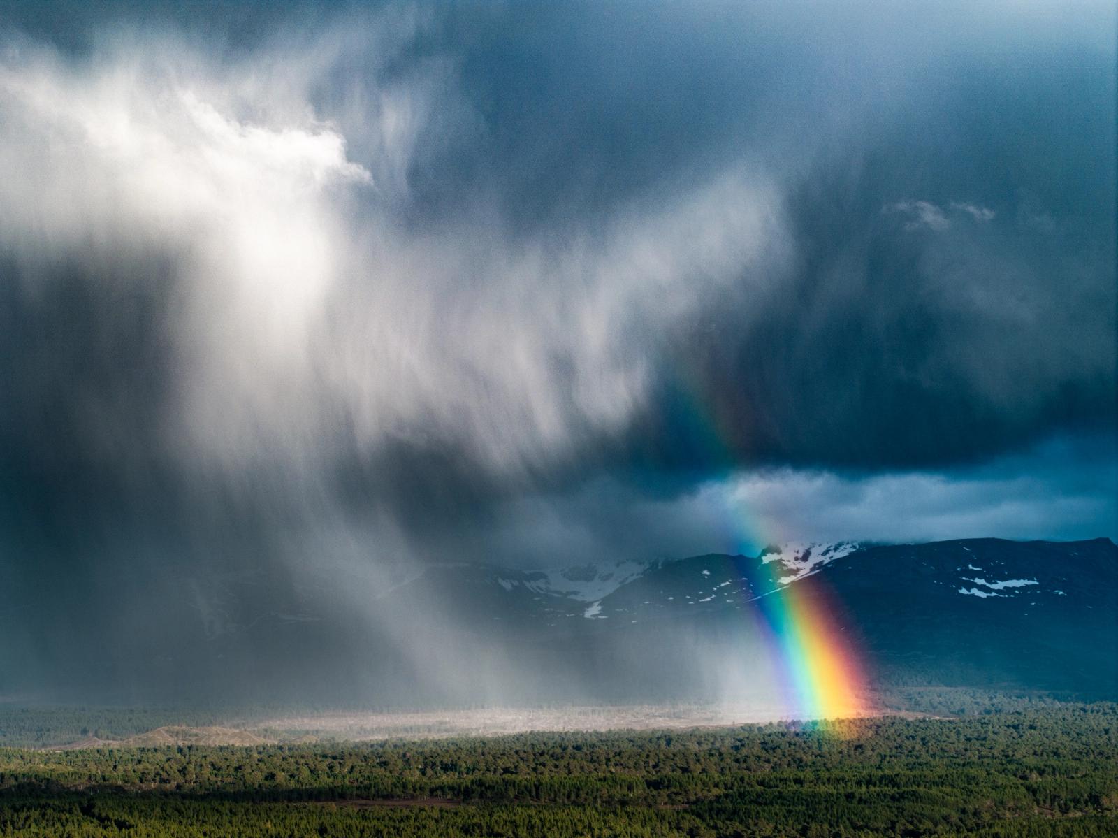 A virga curtain sweeps across the Cairngorm plateau as a vivid rainbow grounds itself at the forest edge near Aviemore. The juxtaposition of precipitation shaft, snow-patched summit, and saturated spectral arc within a single frame captures a fleeting atmospheric collision rarely framed with such compositional weight. Aerial elevation compresses the layers â boreal forest, moorland, mountain and sky â into a single dramatic plane.