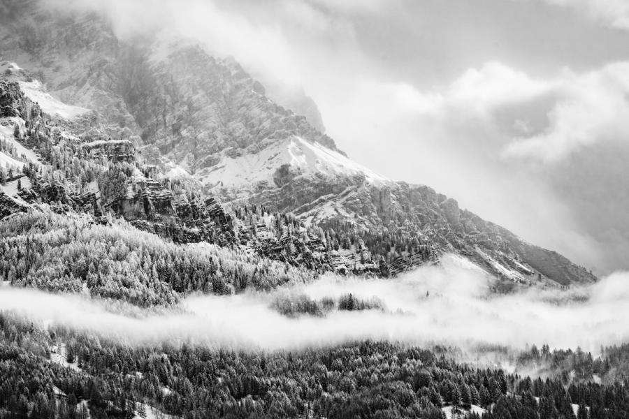 A band of low cloud bisects the scene, separating a dark foreground of snow-dusted conifers from a heavily fractured limestone face above. The monochrome treatment compresses the tonal range into layers, each plane of forest, cliff, and mist receding with quiet authority. The summit disappears into overcast, leaving the mid-mountain geology as the structural anchor.