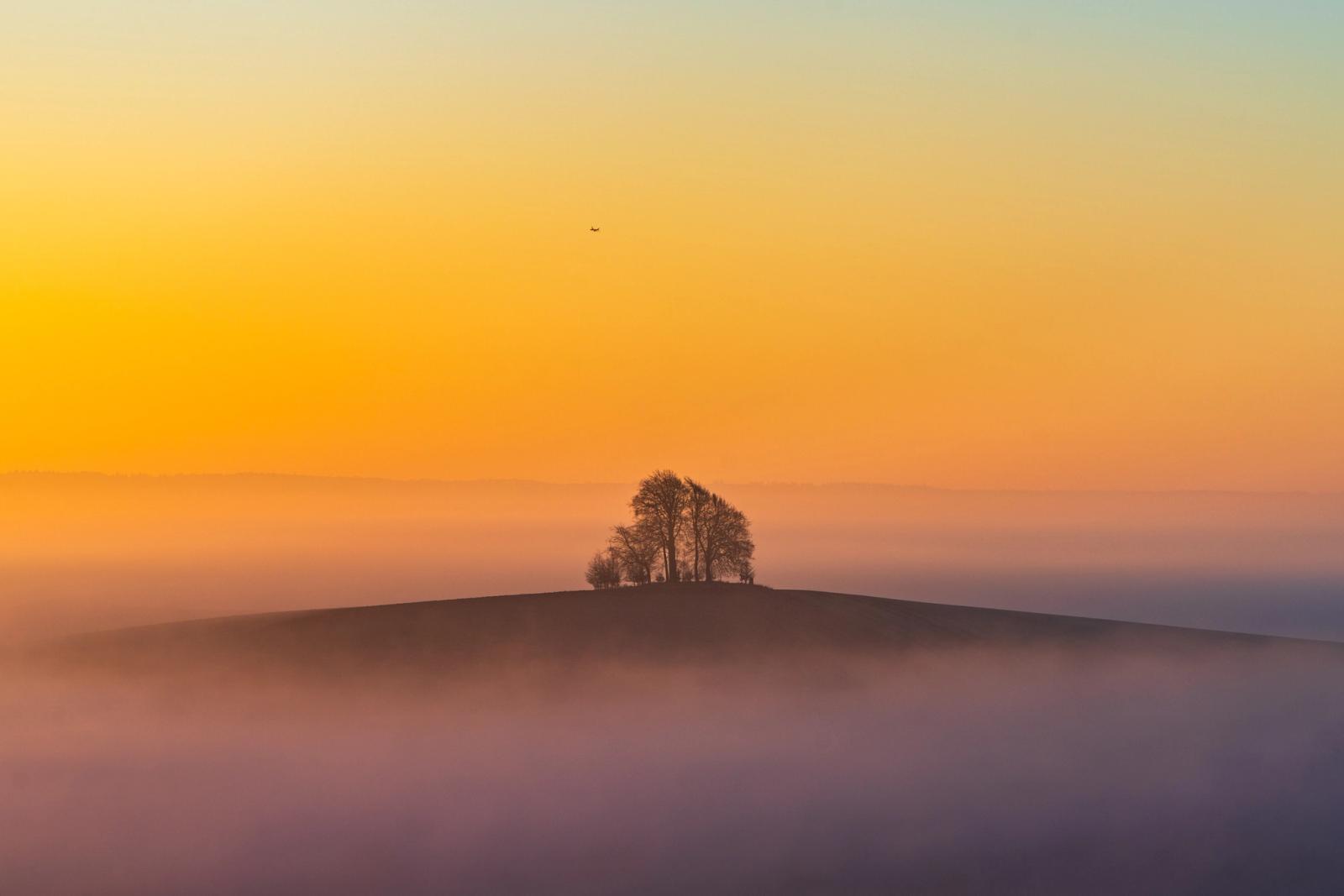 A small copse crowns Brightwell Barrow, one of the higher points near the Wittenham Clumps in Oxfordshire, breaking clear of a temperature inversion that blankets the valley below. The predawn palette shifts from cool lavender at ground level through warm amber at the horizon, compressing the tonal range into a near-abstract arrangement of silhouette and atmosphere. A distant aircraft punctuates the open sky, adding scale without distraction.