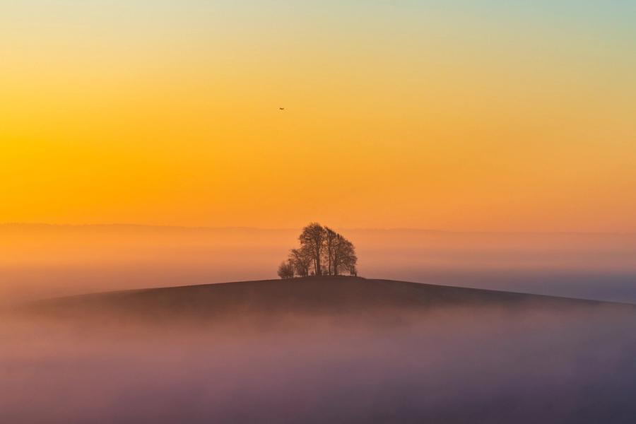A small copse crowns Brightwell Barrow, one of the higher points near the Wittenham Clumps in Oxfordshire, breaking clear of a temperature inversion that blankets the valley below. The predawn palette shifts from cool lavender at ground level through warm amber at the horizon, compressing the tonal range into a near-abstract arrangement of silhouette and atmosphere. A distant aircraft punctuates the open sky, adding scale without distraction.