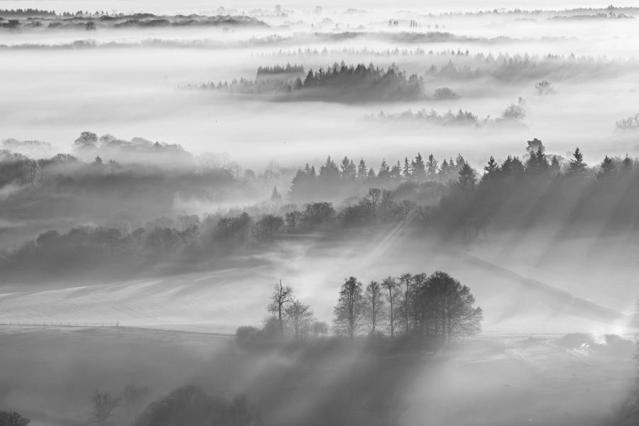 A temperature inversion fills the Thames Valley lowlands with layered fog, isolating copses and conifer ridgelines as dark silhouettes against luminous white. Shot from elevation above Henley-on-Thames in late January, the compression of a long focal length stacks the receding planes into near-abstract bands of tone. A church spire emerges faintly at mid-distance, the sole human measure in an otherwise elemental scene.