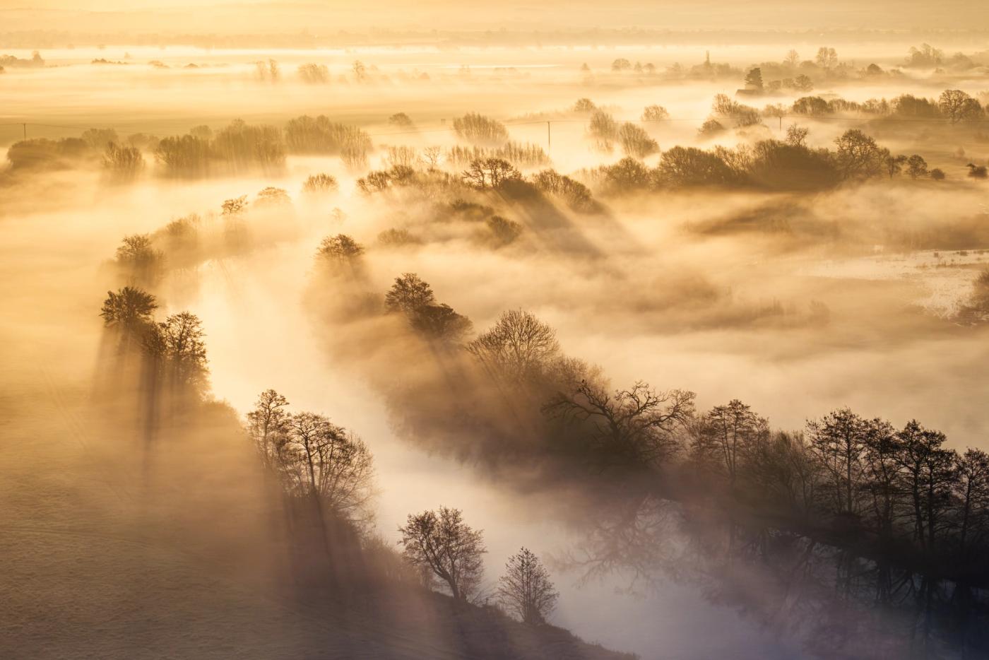 A temperature inversion fills the Thames Valley near Wallingford at dawn, submerging the hedgerows and field boundaries beneath a continuous fog layer. Bare-limbed trees puncture the surface in loose diagonal lines, casting crepuscular rays that radiate across the mist in warm, directional light. The elevated drone perspective compresses the receding treelines into layered planes, rendering the familiar agricultural landscape briefly unrecognisable.