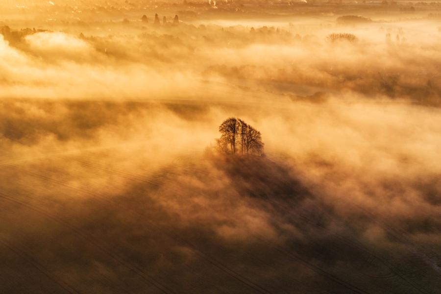 Bare winter trees crown Brightwell Barrow, the low knoll near the Wittenham Clumps in Oxfordshire, rising above a valley floor dissolved by temperature-inversion mist. Shot from altitude at first light on a January morning, low sun backlit the mist into layered golden strata, leaving the trees as the single fixed point in an otherwise formless landscape. The shadow cast downslope through the fog introduces a geometry that separates this from the conventional aerial mist photograph.