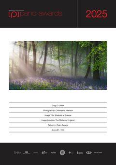 Pano Awards - Bluebells at Sunrise
