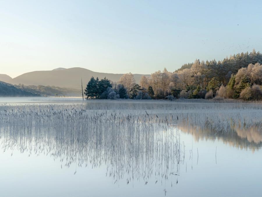 A hard frost coats the birch and pine woodland fringing a Highland loch on a windless winter morning, the frosted canopy reflected almost perfectly in water broken only by emergent reed stems. Ground mist lingers above the surface, softening the distant hills and lending the scene an unusual quietness for midday light.