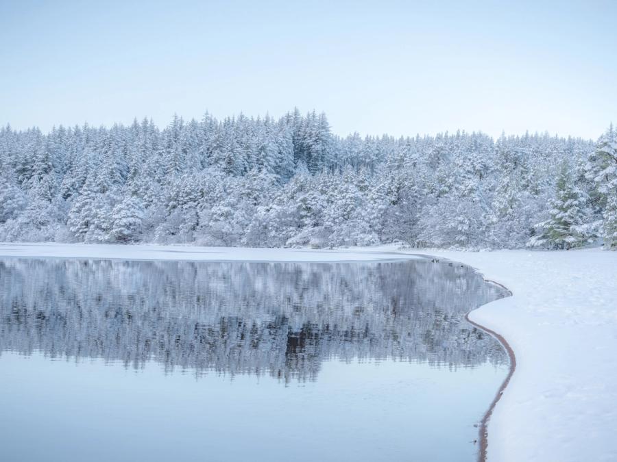 On the shore of the Loch Morlich beach - the highest fresh water beach in the UK - snow covered the landscape, painting the scene white. The calm waters beautifully reflected the winter scene.