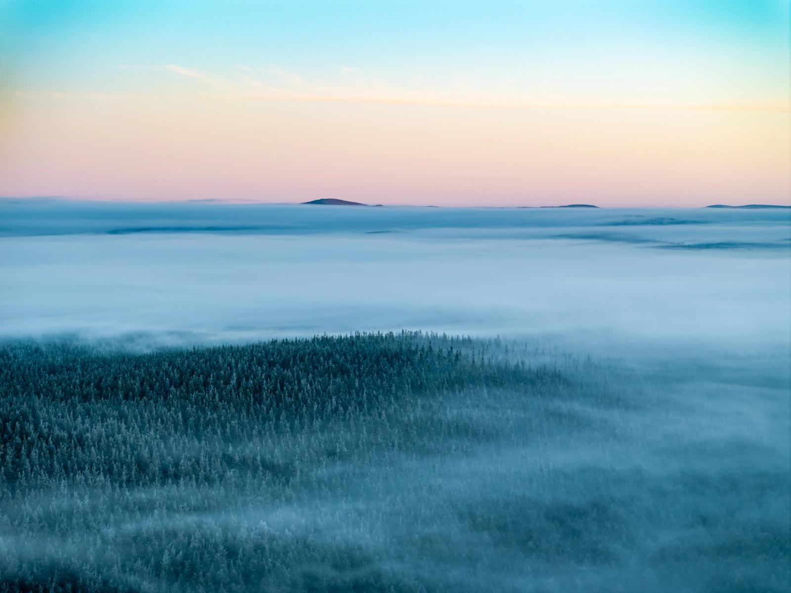 A temperature inversion smothers the Strathspey basin at dawn on Christmas morning, leaving only the frosted crowns of boreal conifers breaking the fog surface near Nethy Bridge. Isolated hilltops emerge as islands in the middle distance, and the sky grades from rose-pink at the horizon through pale cyan overhead. The aerial perspective compresses the layers into a near-abstract register of cold blue and white.