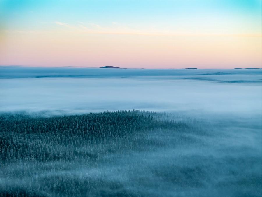 A temperature inversion smothers the Strathspey basin at dawn on Christmas morning, leaving only the frosted crowns of boreal conifers breaking the fog surface near Nethy Bridge. Isolated hilltops emerge as islands in the middle distance, and the sky grades from rose-pink at the horizon through pale cyan overhead. The aerial perspective compresses the layers into a near-abstract register of cold blue and white.
