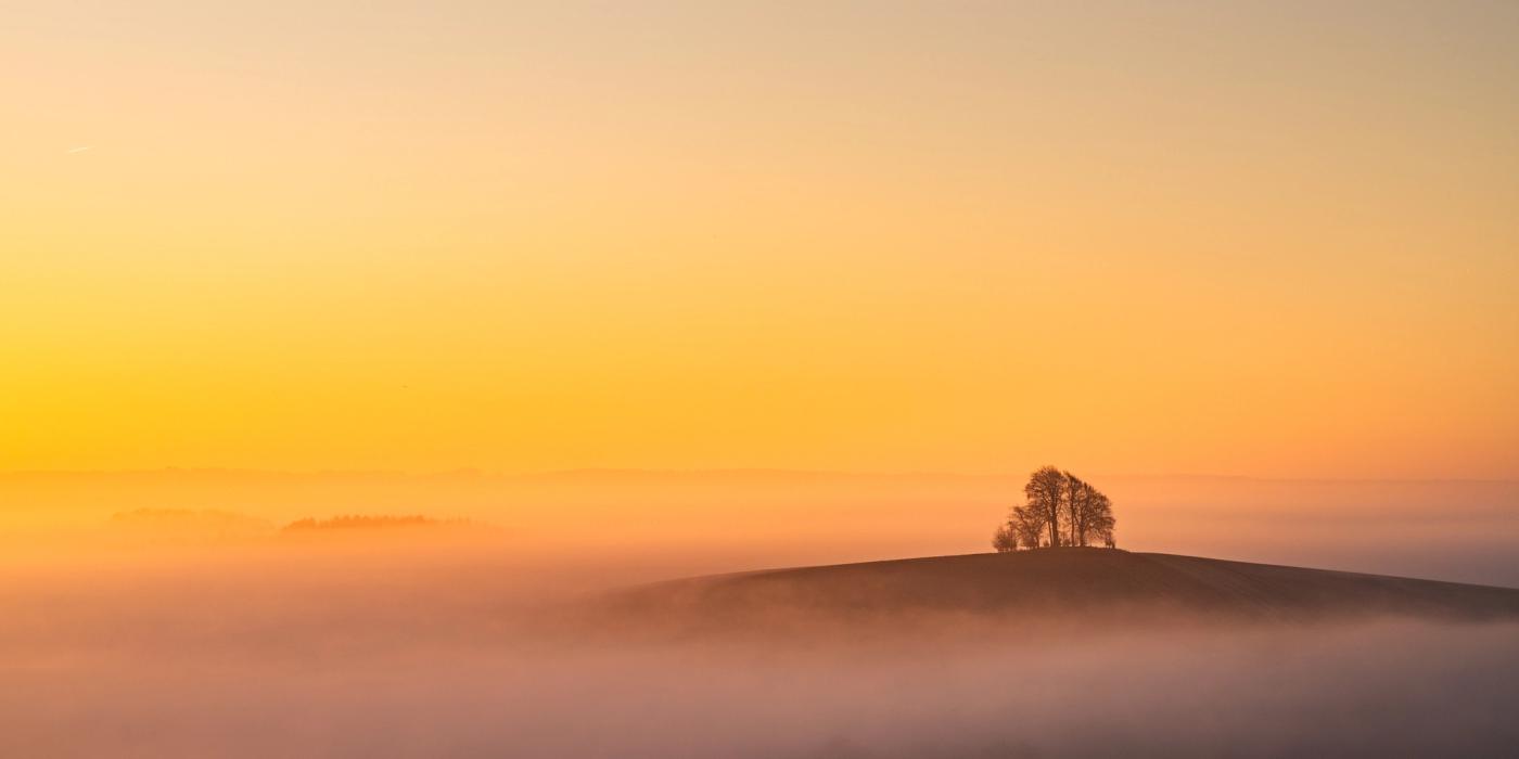 The small hilltop copse at Brightwell Barrow, near the Wittenham Clumps in Oxfordshire, rises as a dark silhouette above a dense temperature inversion that has consumed the surrounding lowlands in mist. The pre-sunrise sky grades from deep amber at the horizon to pale cream above, lending the scene an almost monochromatic warmth. A second treeline ghosted in the middle distance adds depth without competing for attention.