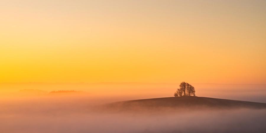 The small hilltop copse at Brightwell Barrow, near the Wittenham Clumps in Oxfordshire, rises as a dark silhouette above a dense temperature inversion that has consumed the surrounding lowlands in mist. The pre-sunrise sky grades from deep amber at the horizon to pale cream above, lending the scene an almost monochromatic warmth. A second treeline ghosted in the middle distance adds depth without competing for attention.