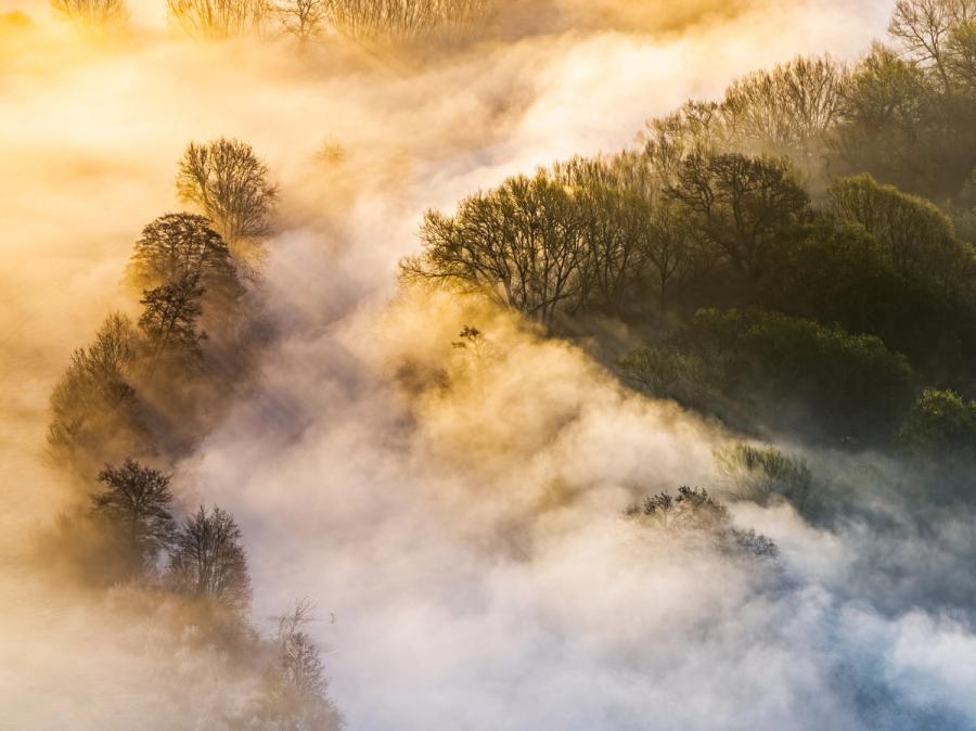 Ground mist pools and breaks across a wooded valley near Wallingford on a March morning, the low sun catching the fog from behind to separate warm and cool tones across a single frame. Bare and evergreen canopies emerge at different heights through the inversion layer, giving the scene an uncommon sense of depth and movement. The aerial perspective dissolves conventional landscape structure into something closer to ink and breath.