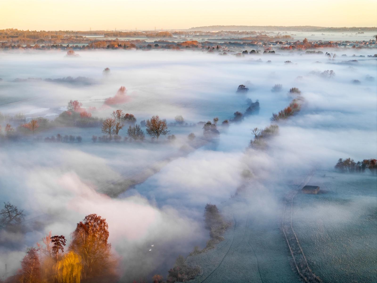 A temperature inversion fills the Thames Valley floor near Wallingford, submerging hedgerows, farm tracks and scattered woodland to their crowns. Autumn-coloured trees pierce the fog layer, lit warm from the east as first light catches the upper canopy. A frost-whitened field in the foreground anchors the scene against the dissolving middle distance.