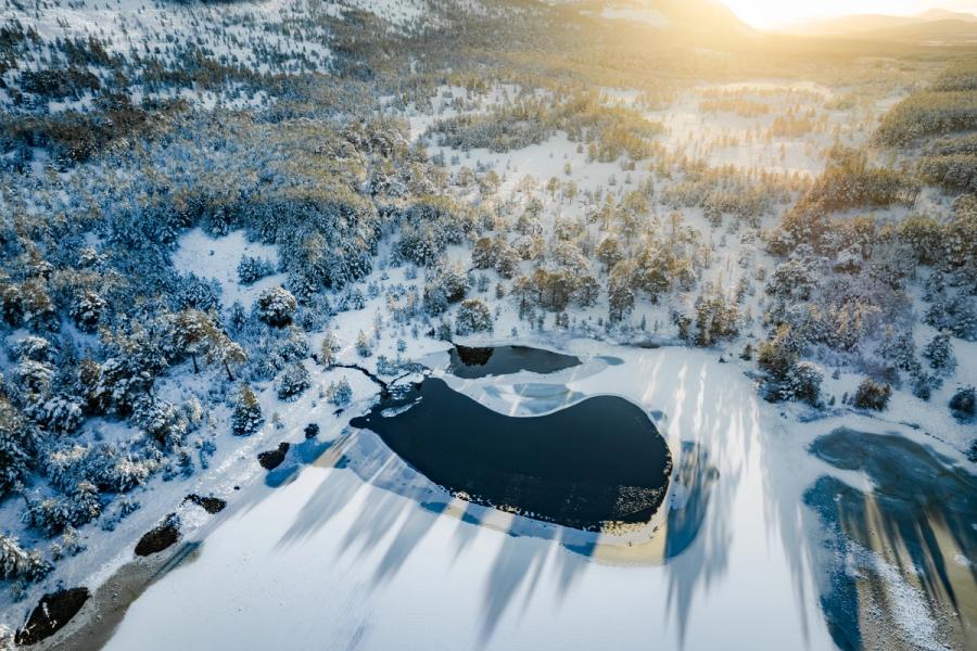 A partially frozen lochan holds open water against a snow-covered Caledonian pine forest near Aviemore, Cairngorms, as low winter sun rakes long tree shadows across the white ground. The organic curve of the water body anchors the composition, its dark surface contrasting sharply with the luminous snowfield. Warm backlight from the south dissolves the valley into haze, lending depth to an otherwise monochrome terrain.
