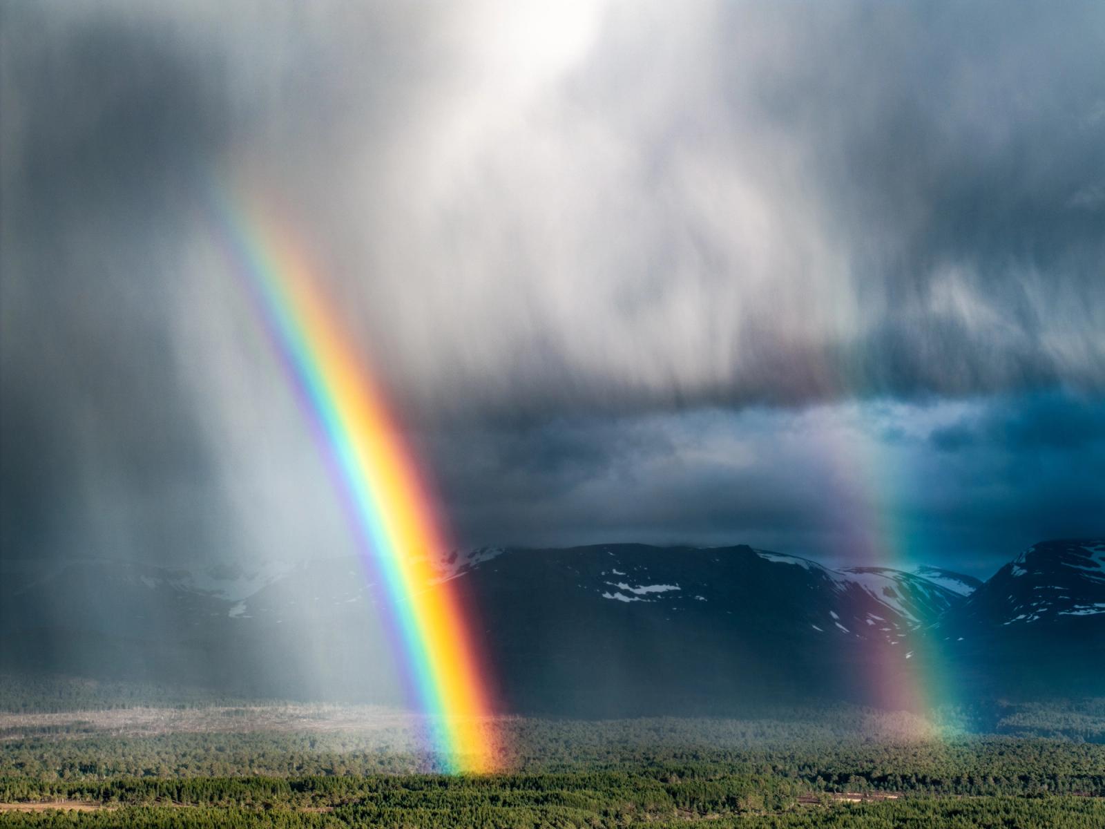 A vivid primary rainbow terminates above boreal forest in the Cairngorms, its arc set against the dark mass of a fast-moving convective storm. Snow-patched mountains anchor the middle distance while virga curtains the left frame, the aerial vantage isolating the optical phenomenon with unusual clarity.