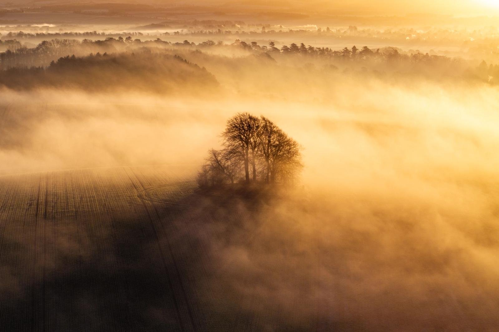 At first light in January, the ancient burial mound of Brightwell Barrow â set in arable farmland below the Wittenham Clumps in Oxfordshire â emerges as a silhouette of bare winter trees from a shallow temperature inversion. Low dawn sun from the east backlights the fog, compressing the landscape into layered planes of amber and shadow. Tractor tramlines in the field below anchor the composition, lending scale to the isolation of the trees on the barrow.