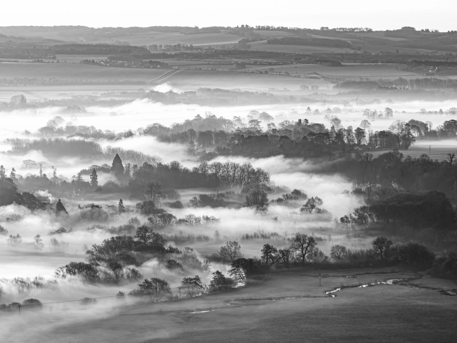 A temperature inversion fills the Thames Valley near Wallingford, submerging the lower ground in dense radiation fog while the bare-branched trees of the valley floor emerge as dark silhouettes between the mist layers. Shot from elevation, the compression of tonal planes across multiple fog bands gives the scene a graphic, almost painterly structure. The monochrome conversion strips out any distraction, leaving only the interplay of light, vapour, and form.