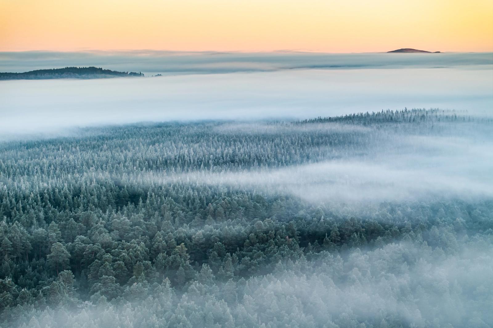 A temperature inversion buries the boreal forest around Nethy Bridge beneath rolling fog on a Christmas dawn, frost-whitened conifers emerging in successive ridges from the mist. The warm apricot horizon separates cloud sea from sky, with distant summits reduced to silhouette. The aerial vantage compresses the layers into a composition of quiet, almost graphical precision.
