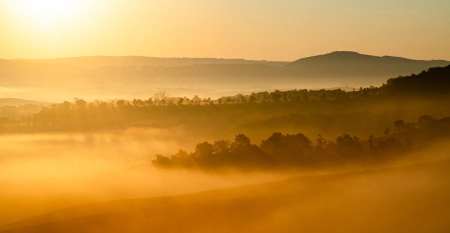 A temperature inversion fills a broad valley with dense fog at first light, tree lines emerging as successive dark registers against the amber haze. The layering of mist, silhouetted woodland, and receding hills creates a strong sense of aerial depth without elevation. Captured in late September, the warm backlight and cool blue of the far ridgeline suggest the brief window between fog-lock and dissipation.