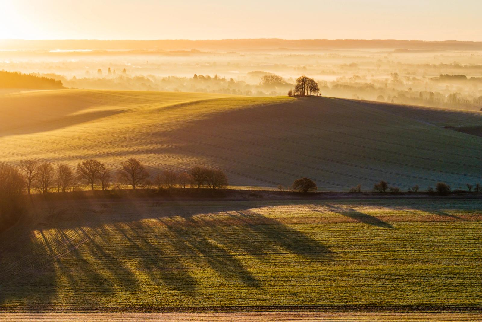 A temperature inversion fills the Vale of White Horse with low mist at first light, seen here from above Brightwell Barrow near the Wittenham Clumps in Oxfordshire, while long tree shadows rake across frost-dusted arable fields on the downland above Abingdon. A small copse crowns the nearest hill, its silhouette caught between the lit flank and the mist-dissolved distance beyond. The layering of warm light, cool shadow, and atmospheric depth gives the scene an unusual structural clarity for an aerial frame.